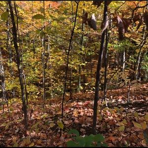 Meet your Posher, Tim